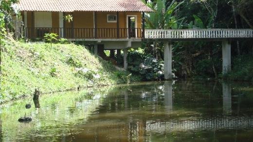 IMG-40882.jpg