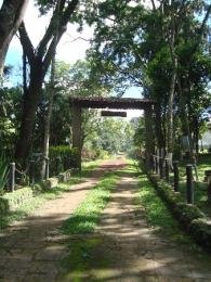 Célio Nogueira Imóveis