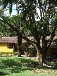 Célio Nogueira Imóveis