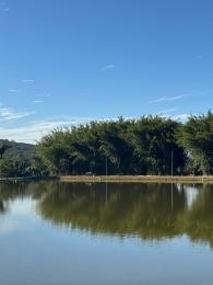 Célio Nogueira Imóveis