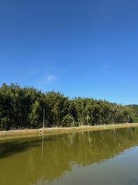 Célio Nogueira Imóveis Célio Nogueira Imóveis