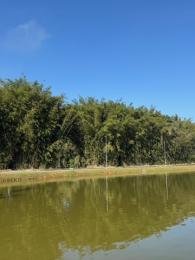 Célio Nogueira Imóveis Célio Nogueira Imóveis