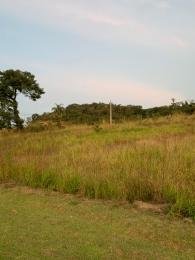 Célio Nogueira Imóveis