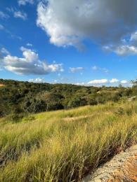 Célio Nogueira Imóveis Célio Nogueira Imóveis