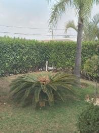 Célio Nogueira Imóveis Célio Nogueira Imóveis