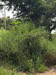 Célio Nogueira Imóveis