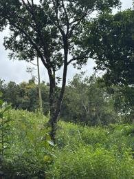 Célio Nogueira Imóveis